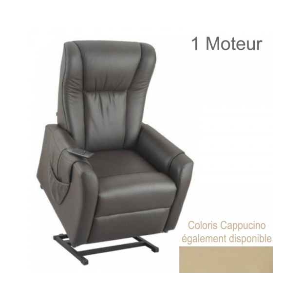 Fauteuil Releveur Relax Cuir Vachette