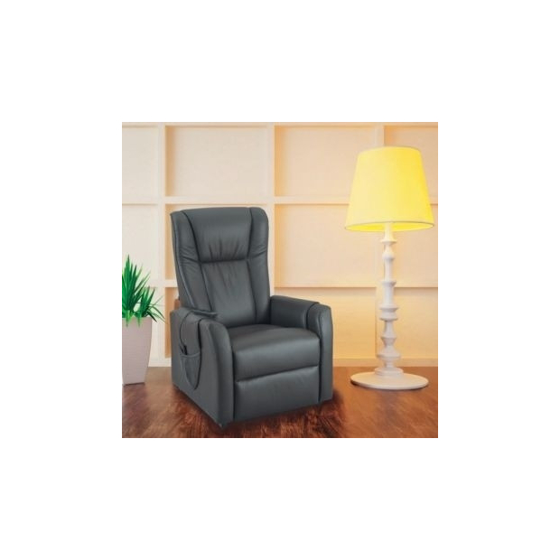 Fauteuil Releveur Relax Cuir Vachette