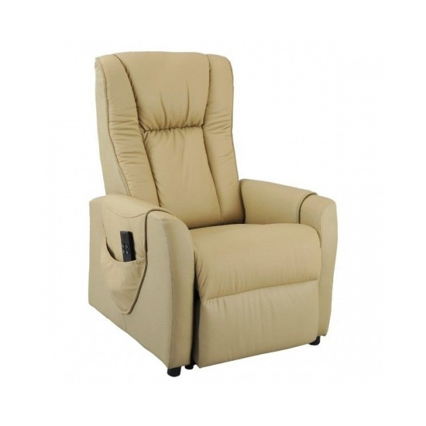 Fauteuil Releveur Relax Cuir Vachette