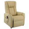 Fauteuil Releveur Relax Cuir Vachette