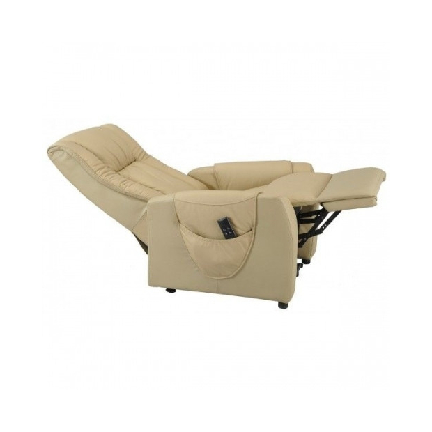 Fauteuil Releveur Relax Cuir Vachette