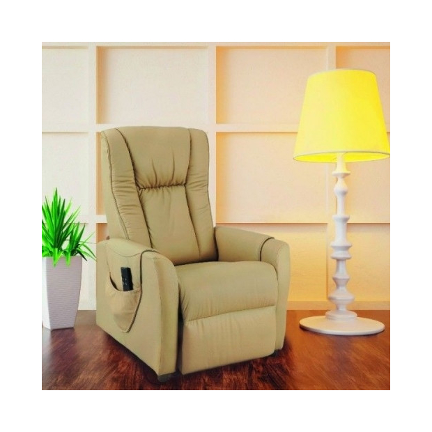 Fauteuil Releveur Relax Cuir Vachette