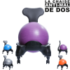 Chaise Ergo Ball Anti Mal de Dos