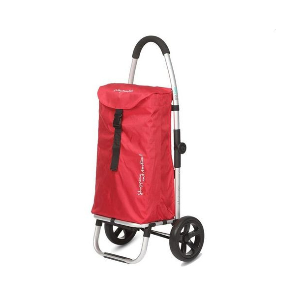 Chariot de course Go Two Playmarket