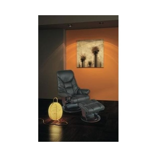 Fauteuil Relax Raffiné Soma Cuir