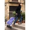 Chariot de course Go Up Playmarket Gris