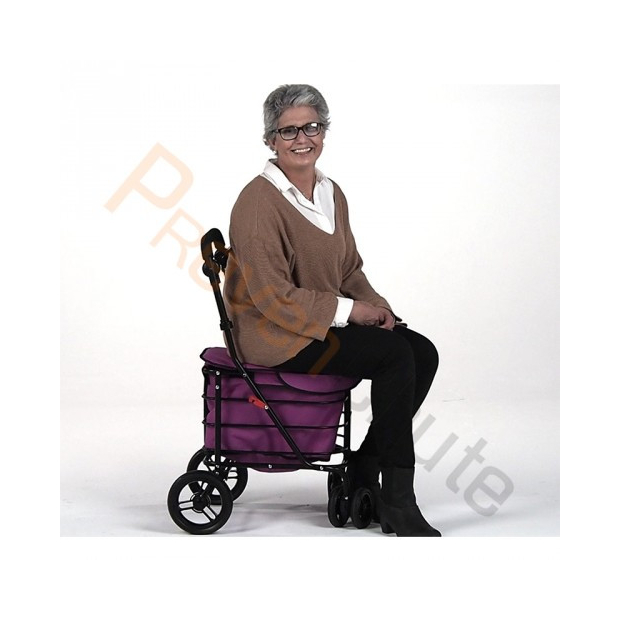Rollator de course Carlett 700