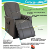 Fauteuil Releveur électrique en Cuir Celestin