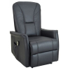 Fauteuil Releveur électrique en Cuir Celestin