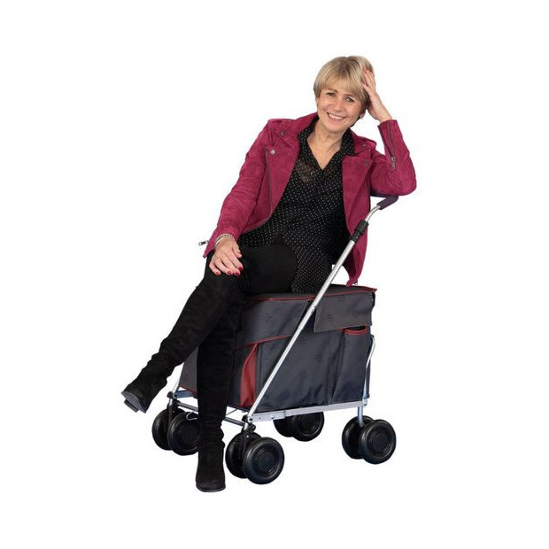 Chariot de course Sholley Ruby Royale avec une assise