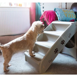 Escalier Multifonctionnel Pliable Pour Chien Et Chat, Boîte De