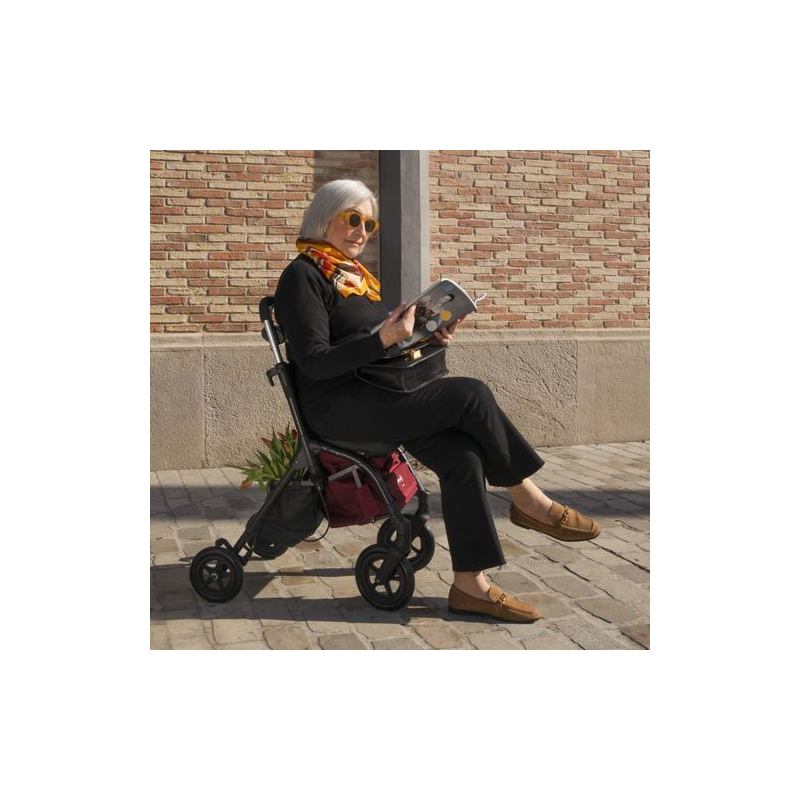 Chariot De Courses Pliable Senior - 4 Roues, Sac Double Compartiment, Guidon Réglable - Playcare Gris Marengo
