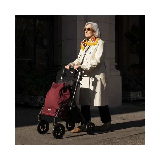 Rollator chariot de course R05 Playcare