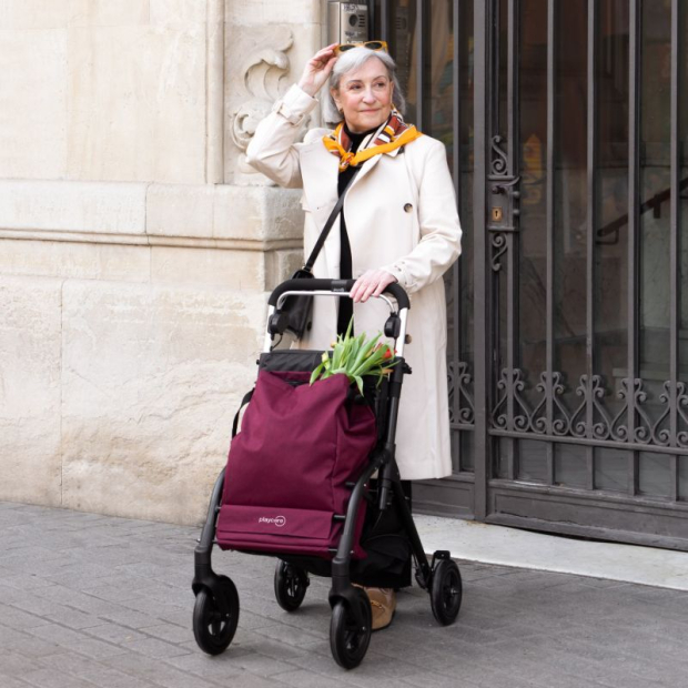 Rollator chariot de course R05 Playcare, 2 en 1 déambulateur et chariot de course avec système de freinage