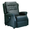 Fauteuil Releveur Madison Plus