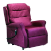 Fauteuil Releveur Madison Plus