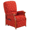 Fauteuil Releveur Invacare Bristol