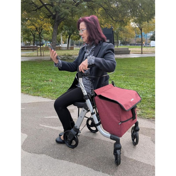 Déambulateur Chariot de course 2 en 1 Lett Walk 710