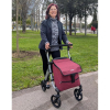 Déambulateur Chariot de course 2 en 1 Lett Walk 710