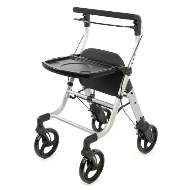 Déambulateur Chariot de course 2 en 1 Lett Walk 710