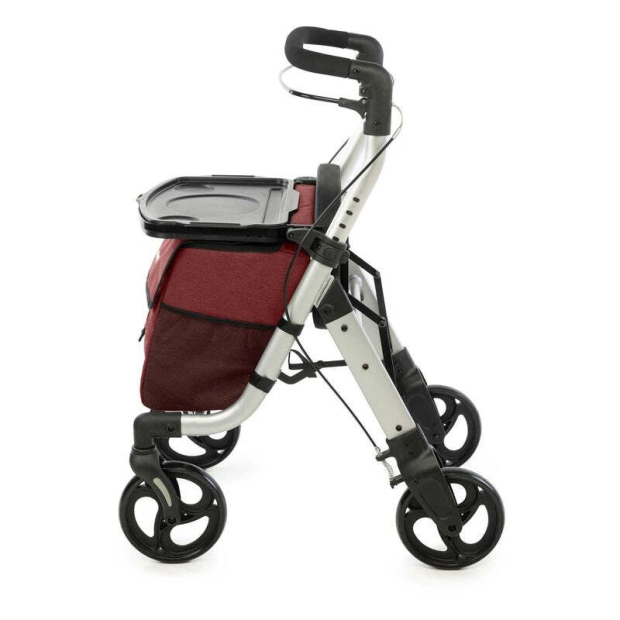 Déambulateur Chariot de course 2 en 1 Lett Walk 710