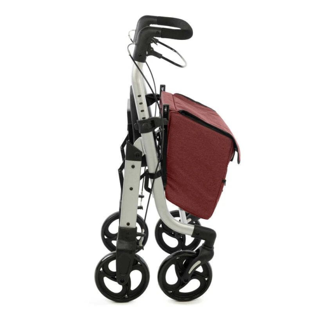 Déambulateur Chariot de course 2 en 1 Lett Walk 710