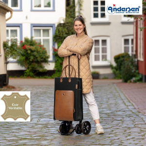 chariot de course à pousser andersen avec sac cuir marron