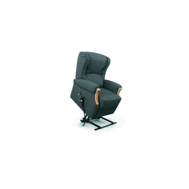 Fauteuil Releveur Hastings Gris