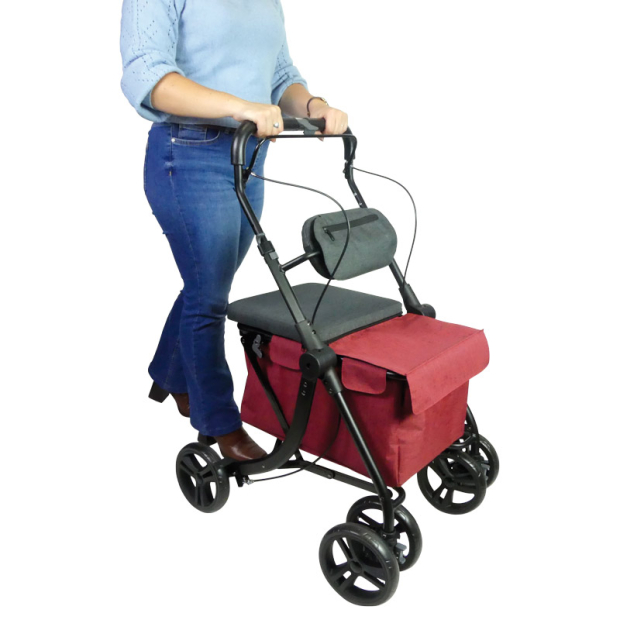 utilisation debout du caddie de course rest n roll