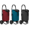 Chariot de course Go Two Playmarket