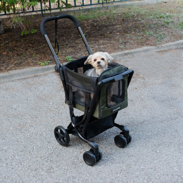 Chariot de course Easy Go Pets 2 en 1