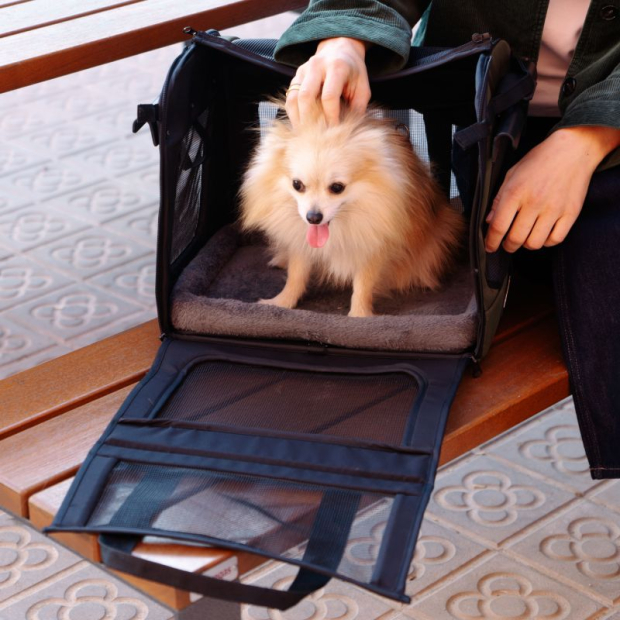 Chariot de course Easy Go Pets 2 en 1