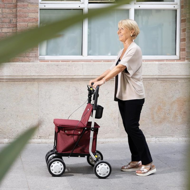 Rollator de course Carlett 800 Comfort