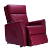 Fauteuil Releveur Dos au Mur Cleveland