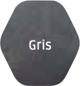 GRIS.png