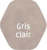 Gris%20clair.png
