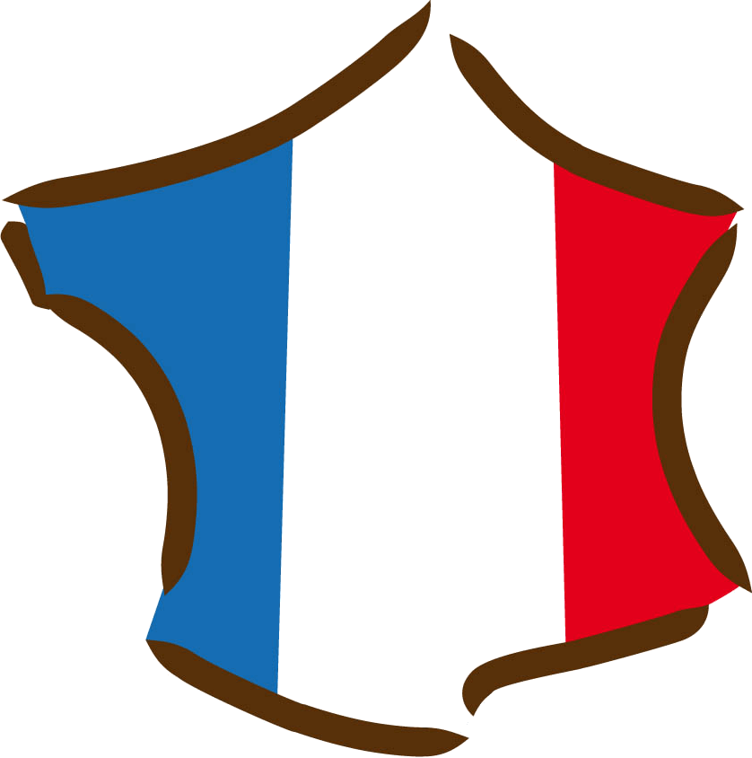 logo-france(1).png
