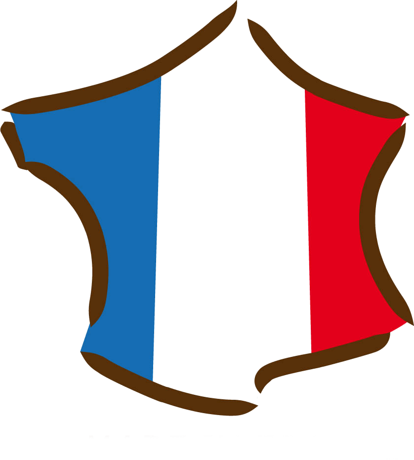 logo-france.png